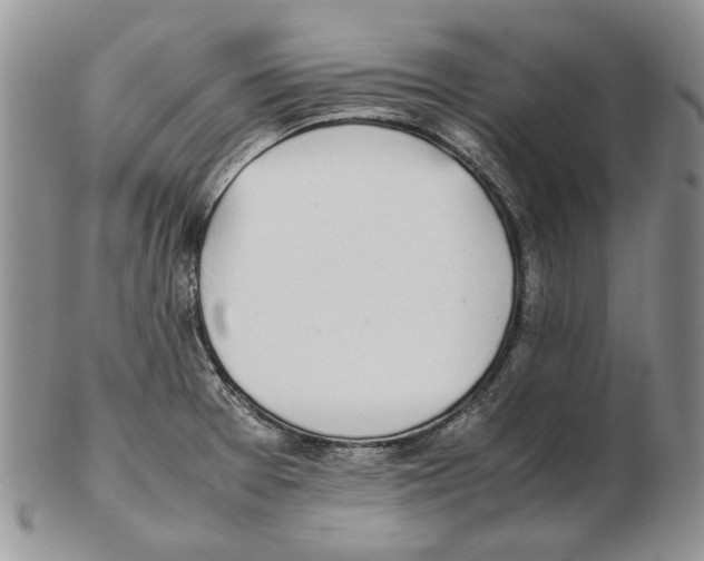 X0000102251377200808221343