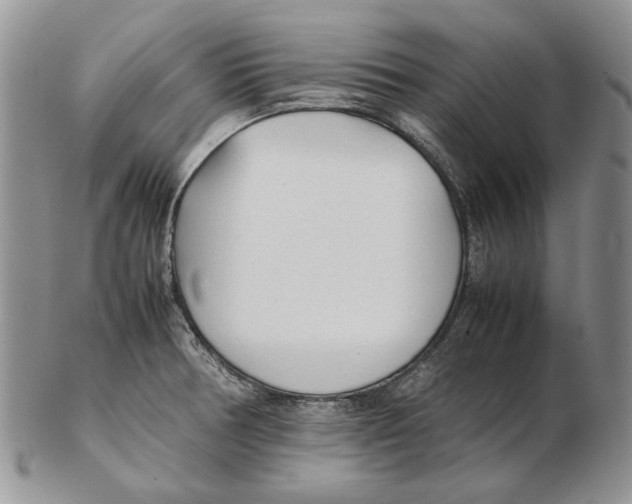 X0000102251378200808221343