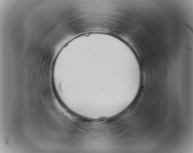X0000102251379200808221343