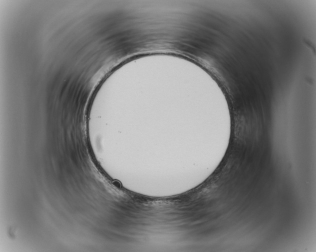 X0000102251380200808221343