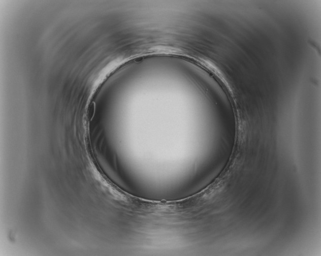 X0000102251381200808221343