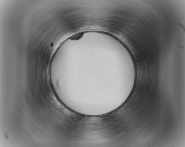 X0000102251382200808221343