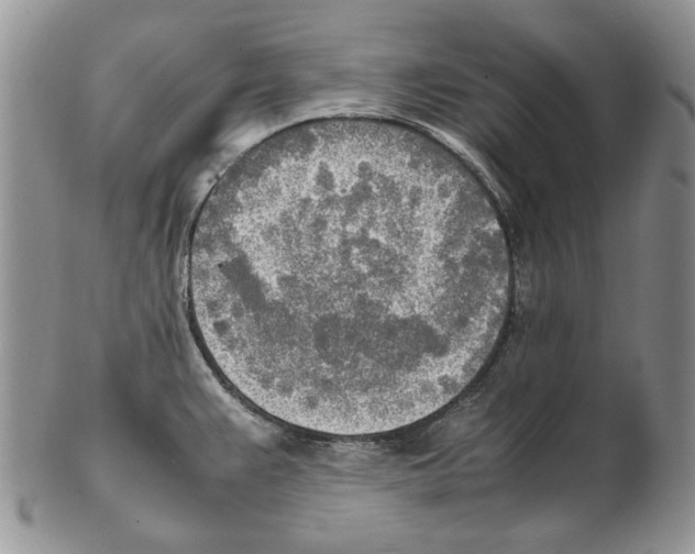 X0000102251383200808221343