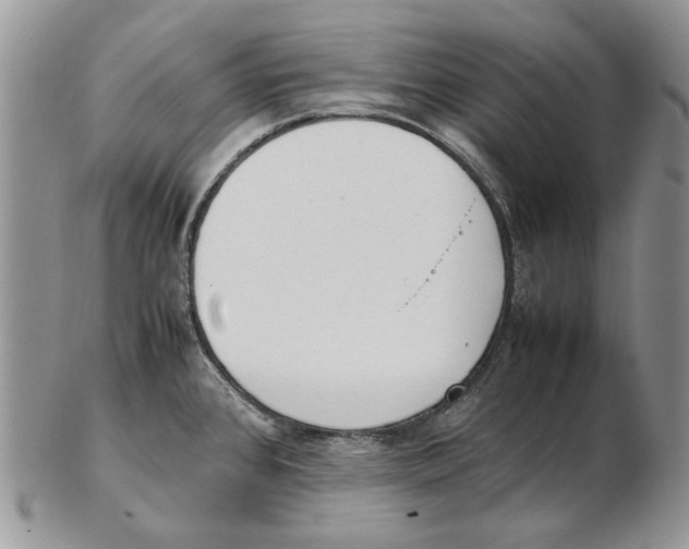X0000102251384200808221343