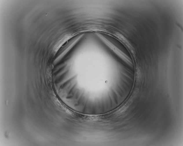 X0000102251385200808221343
