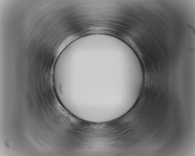 X0000102251386200808221343