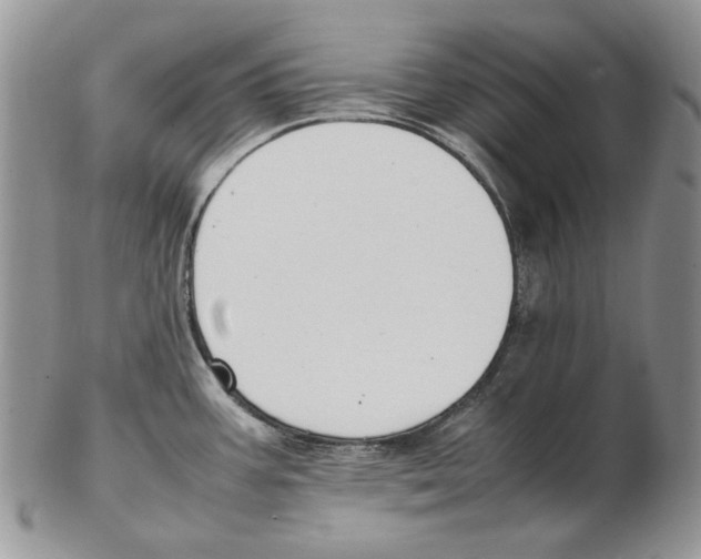 X0000102251387200808221343