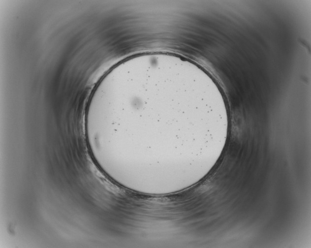 X0000102251388200808221343