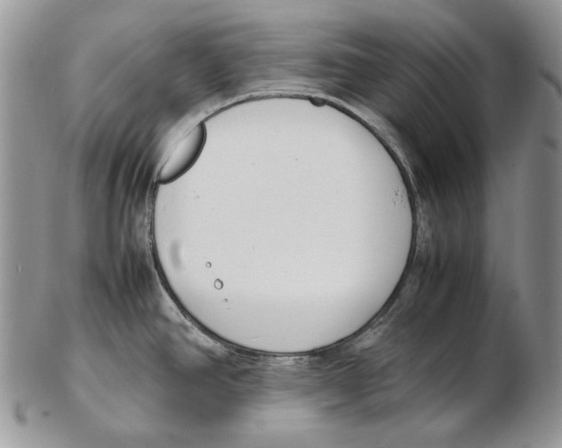 X0000102251390200808221343
