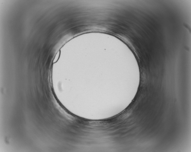 X0000102251391200808221343