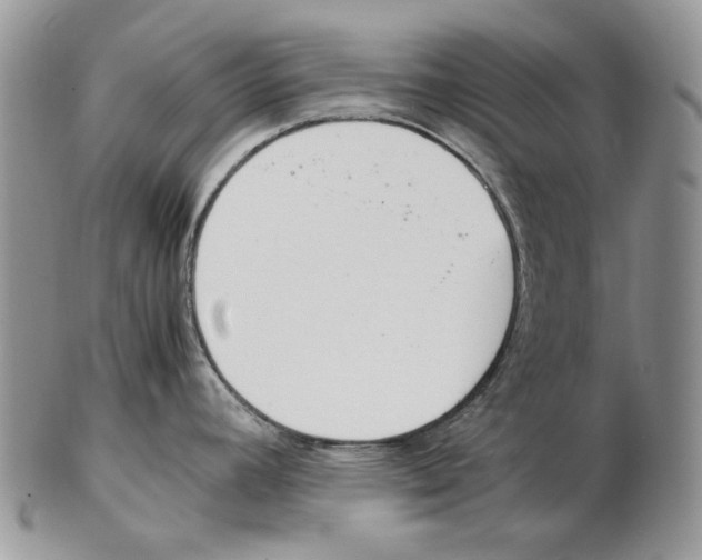 X0000102251392200808221343
