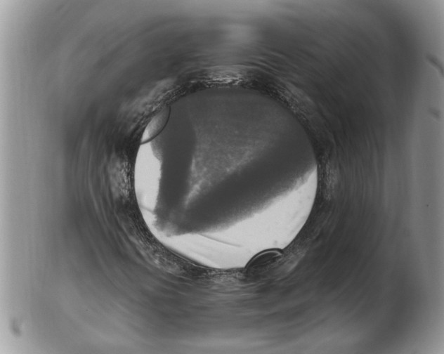 X0000102251394200808221342