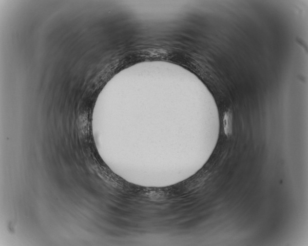 X0000102251395200808221342