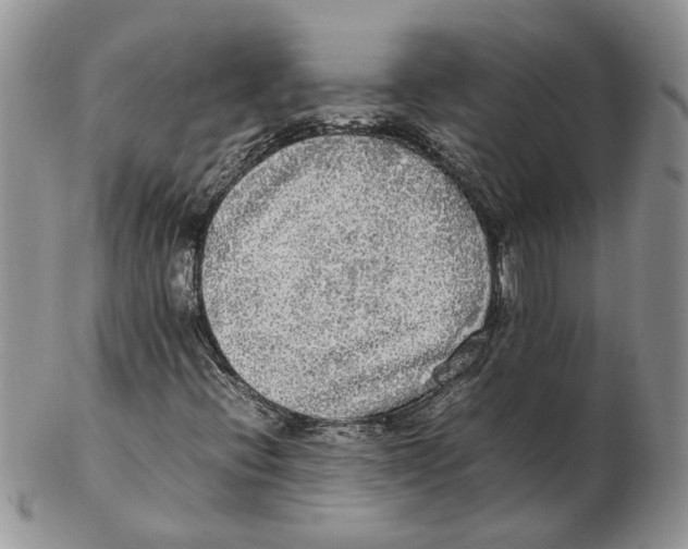 X0000102251396200808221342