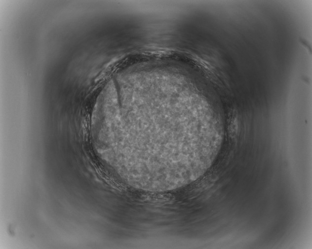 X0000102251397200808221342