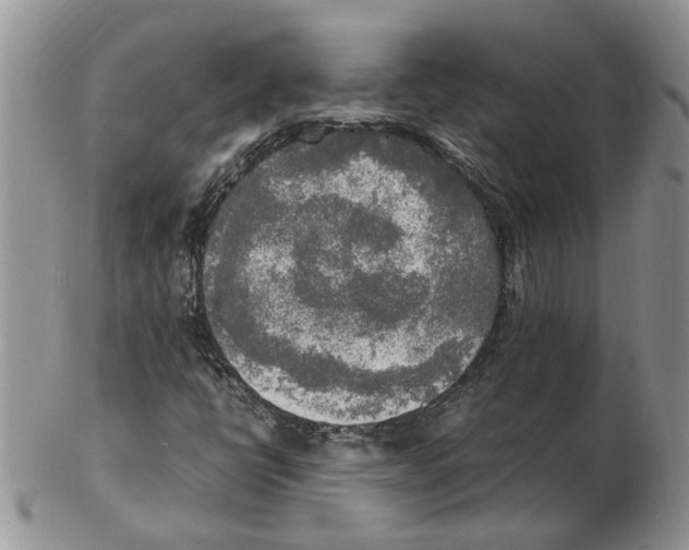 X0000102251398200808221342