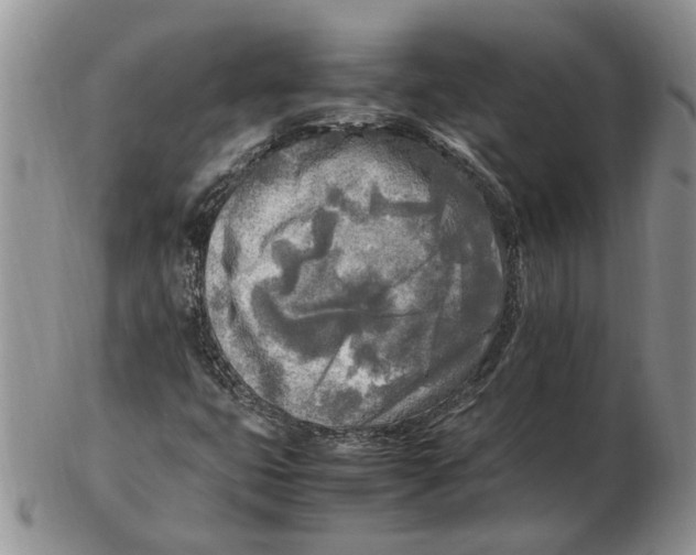 X0000102251399200808221342