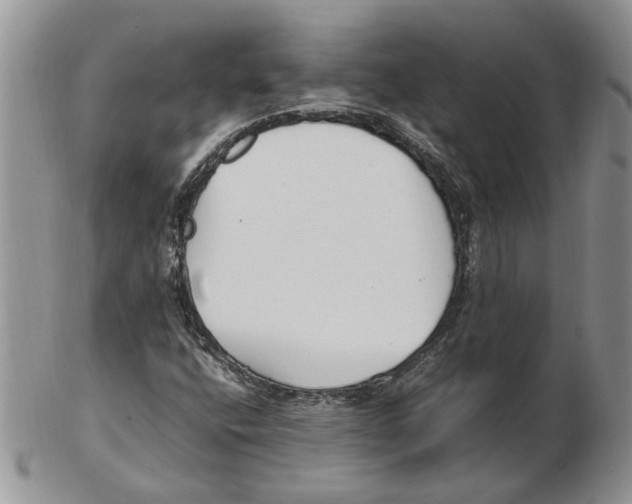X0000102251400200808221342