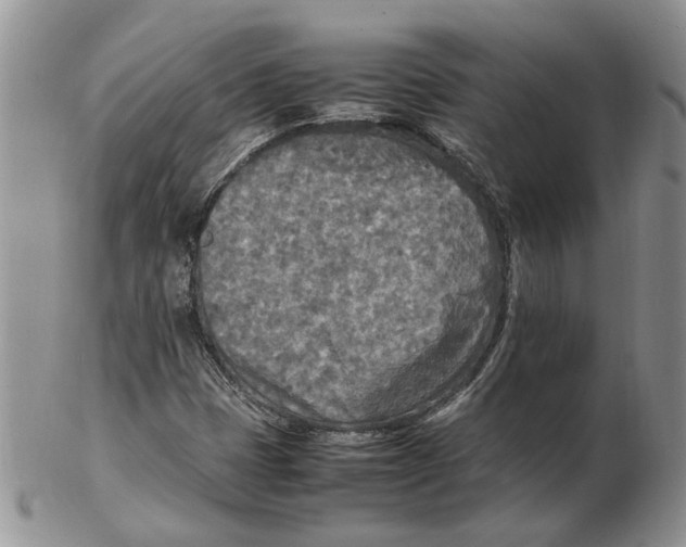 X0000102251401200808221342