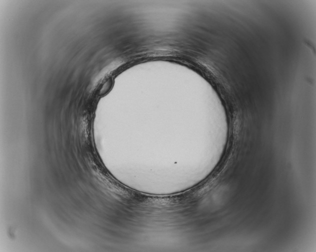 X0000102251402200808221342