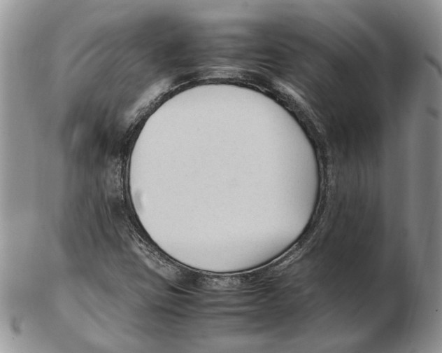 X0000102251403200808221342