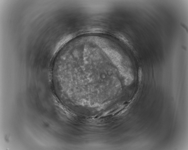 X0000102251405200808221342