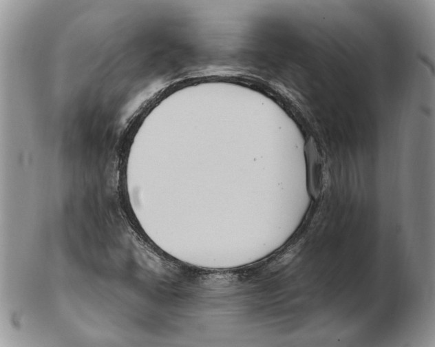 X0000102251406200808221342