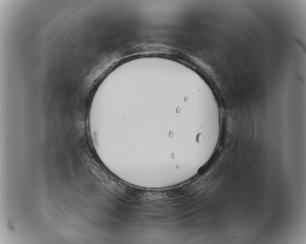 X0000102251407200808221342