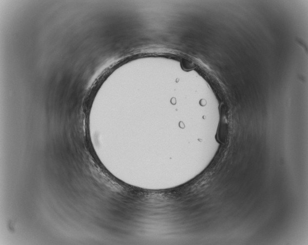 X0000102251408200808221342