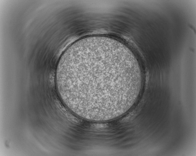 X0000102251409200808221342