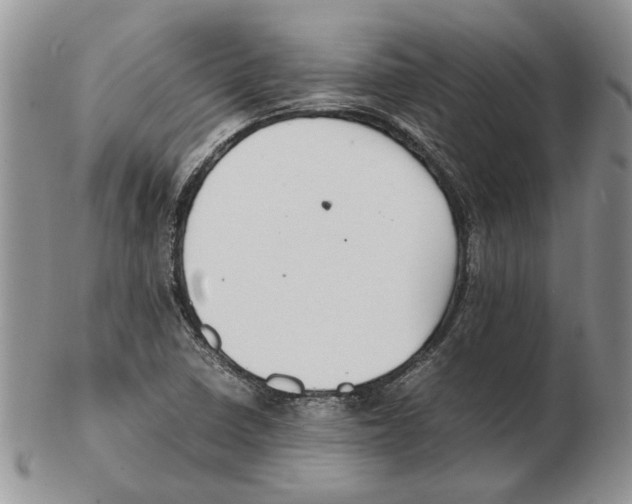 X0000102251410200808221342