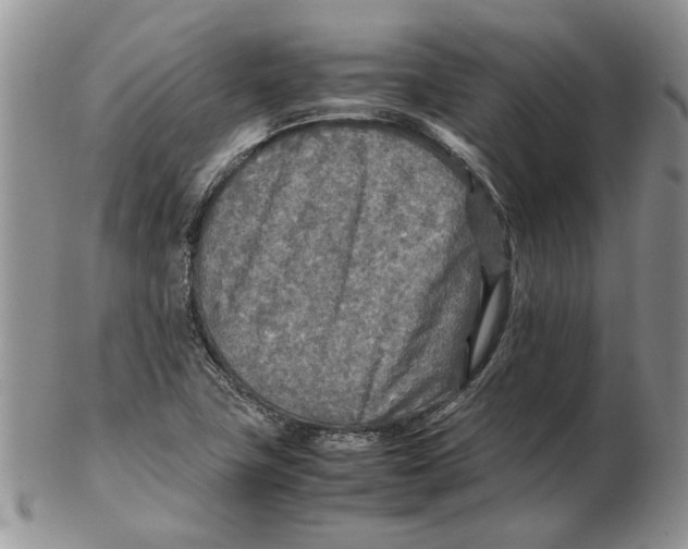 X0000102251411200808221342