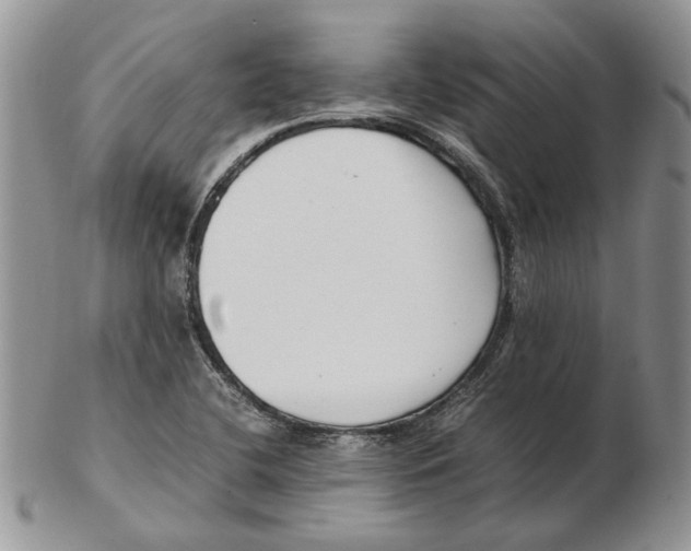 X0000102251412200808221342