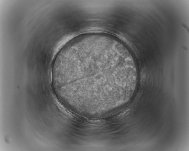 X0000102251413200808221342