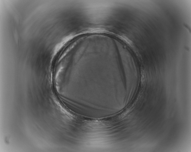 X0000102251414200808221342