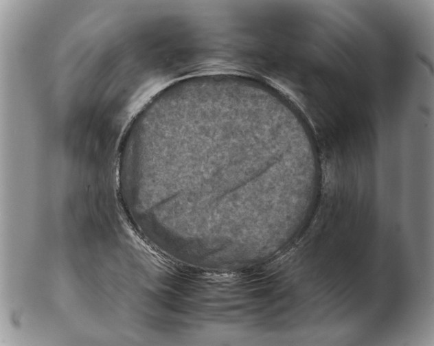 X0000102251415200808221342