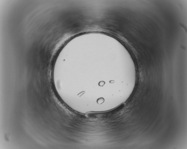 X0000102251416200808221342