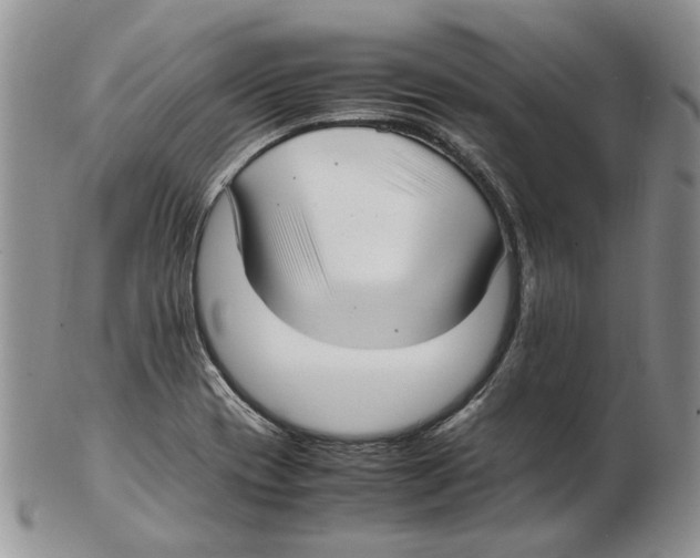 X0000102251417200808221342