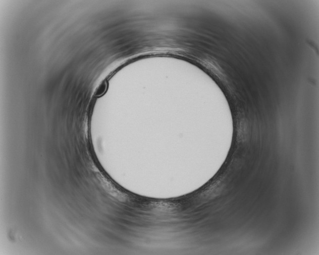 X0000102251420200808221342