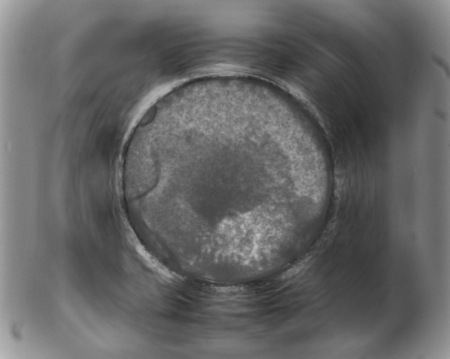 X0000102251421200808221342