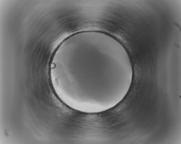 X0000102251422200808221342