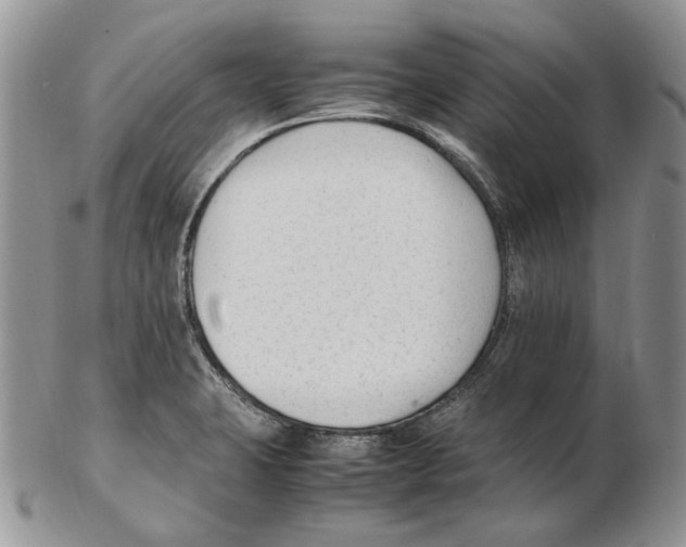 X0000102251423200808221342
