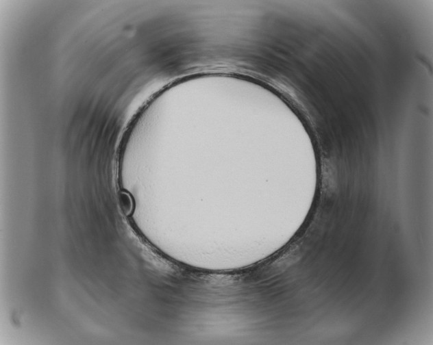X0000102251424200808221343