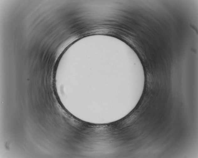 X0000102251426200808221343