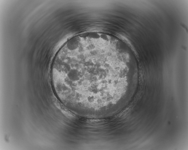 X0000102251427200808221343