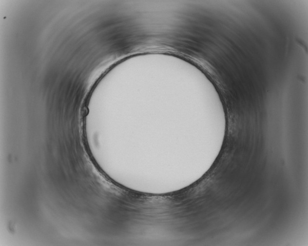 X0000102251430200808221343
