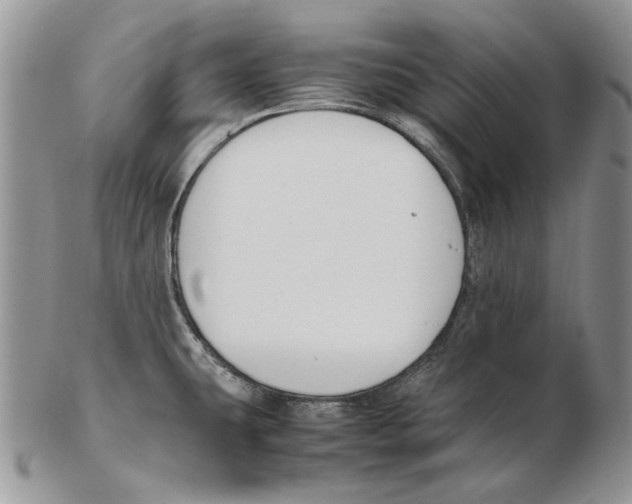 X0000102251431200808221343