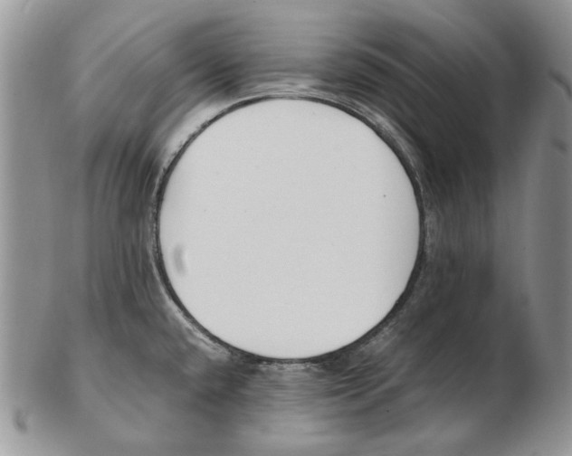 X0000102251432200808221343
