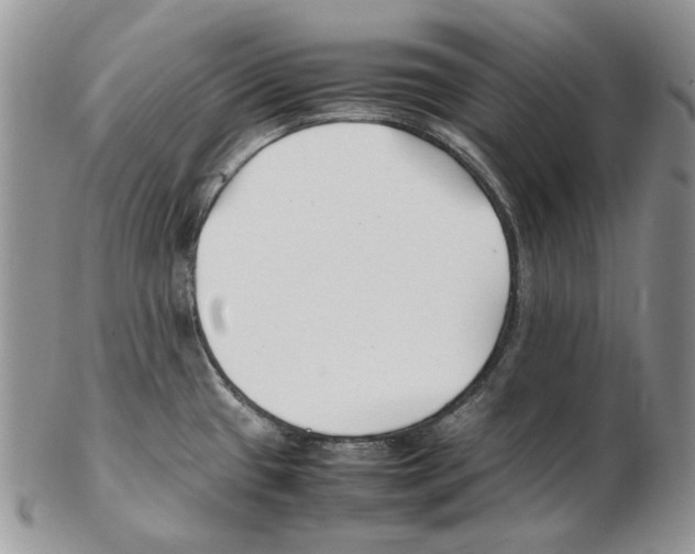 X0000102251433200808221343