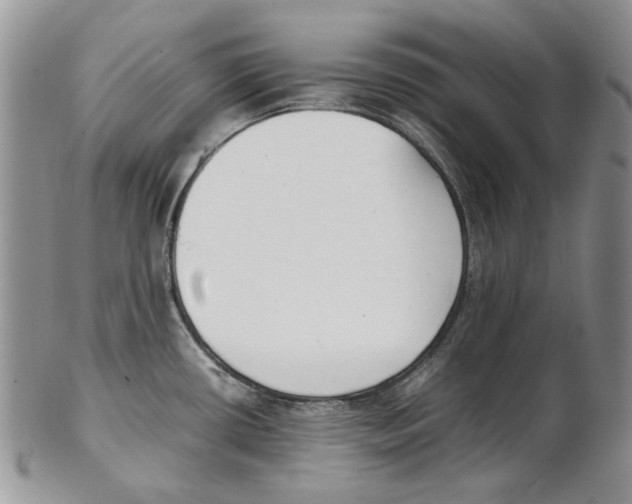 X0000102251434200808221343